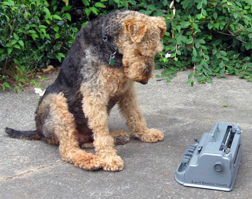Perkins the Braille Dog and Perkins Brailler